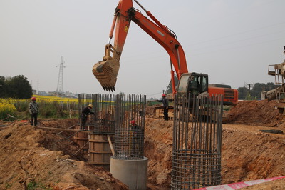 東坡區成立保障專組，為項目建設“滿血復活”注入強勁動力