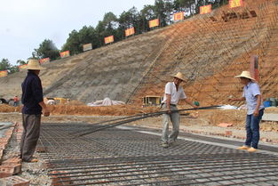 寧明縣愛店口岸基礎設施項目建設有序推進，夯實沿邊開放新基石